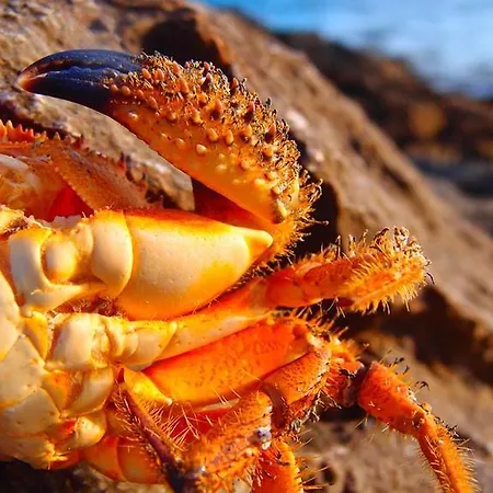 Apartmán To Pithari