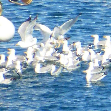 Apartmán To Pithari Skála Marión