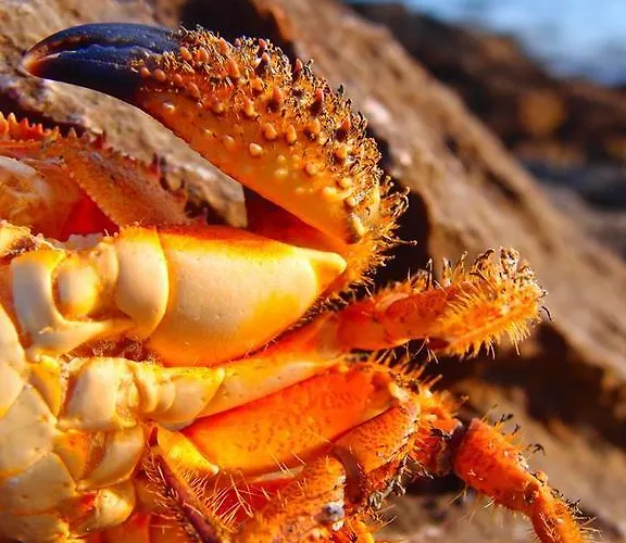 아파트 To Pithari