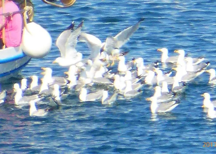 Apartment To Pithari Skala Marion